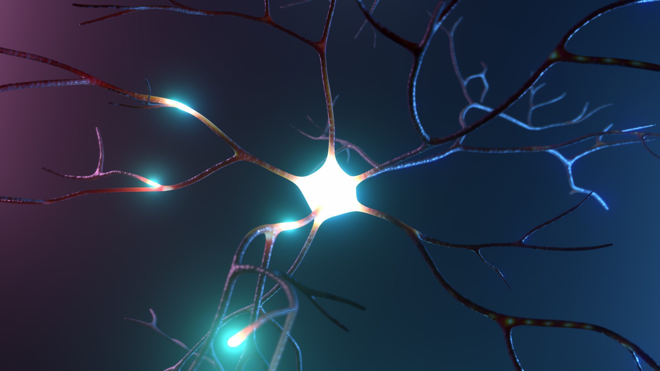 打破神经调节困局：从单一到多维，舒乐敏Thervix如何重新定义神经营养？